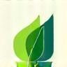 Sustainable practices icon